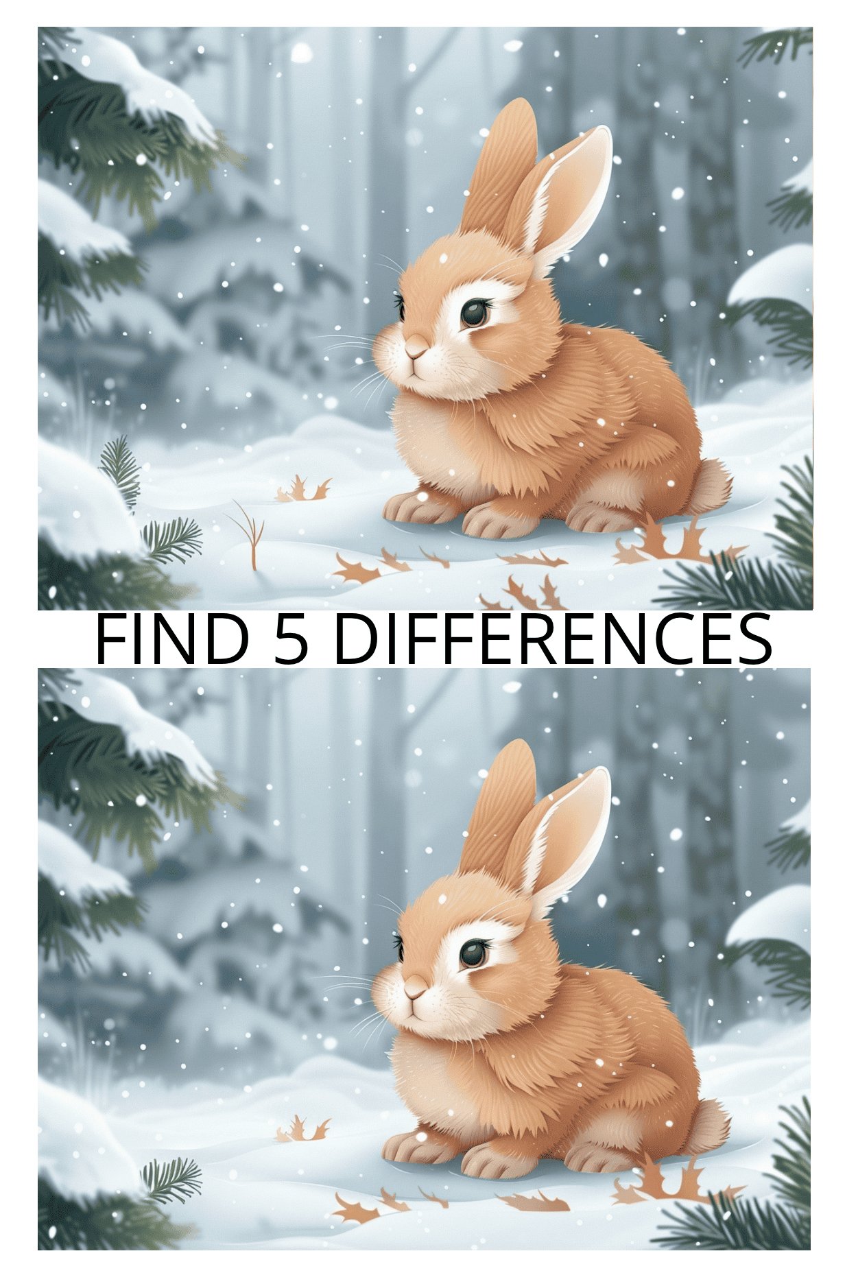 Spot the Difference