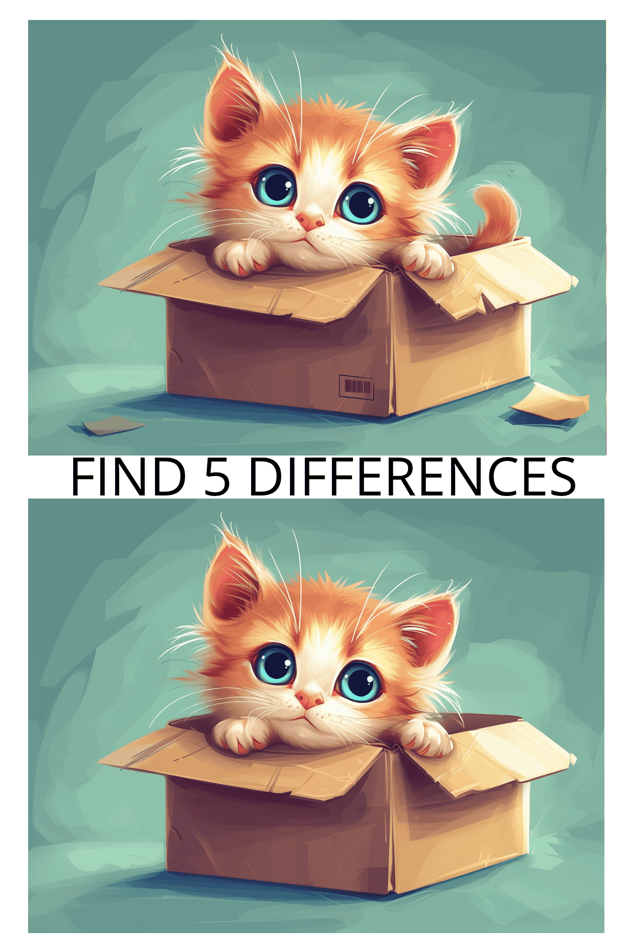Spot the Difference