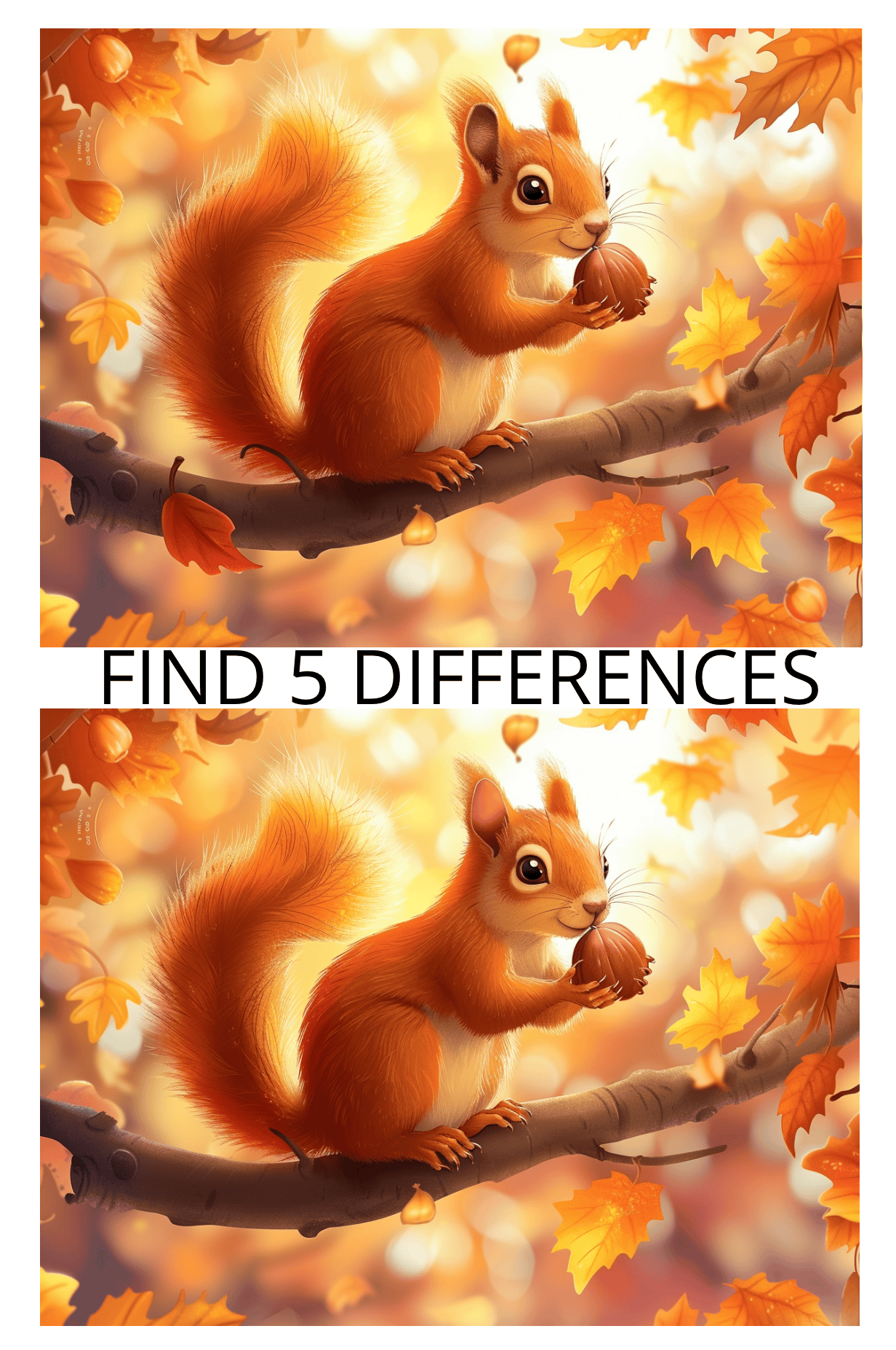 Spot the Difference
