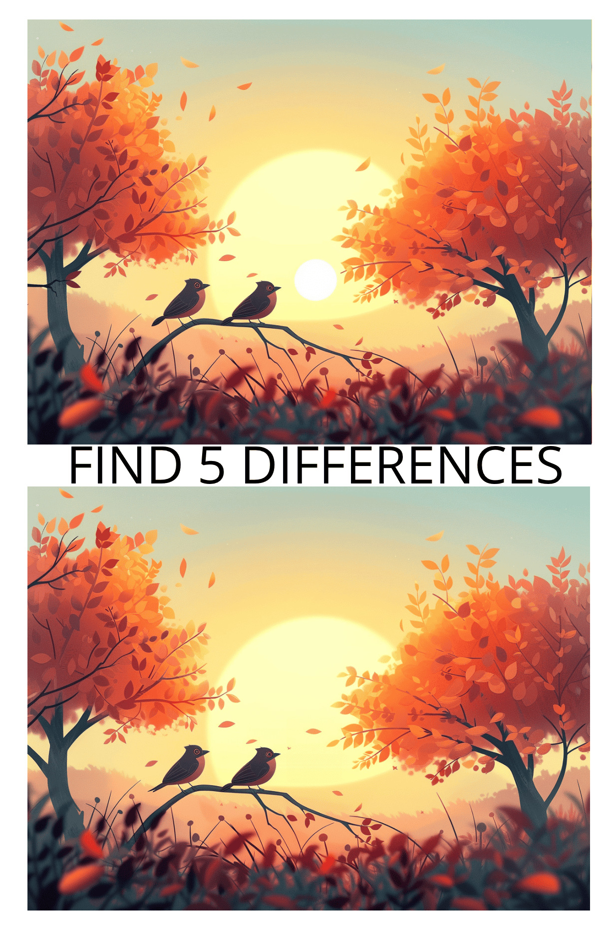 Spot the Difference