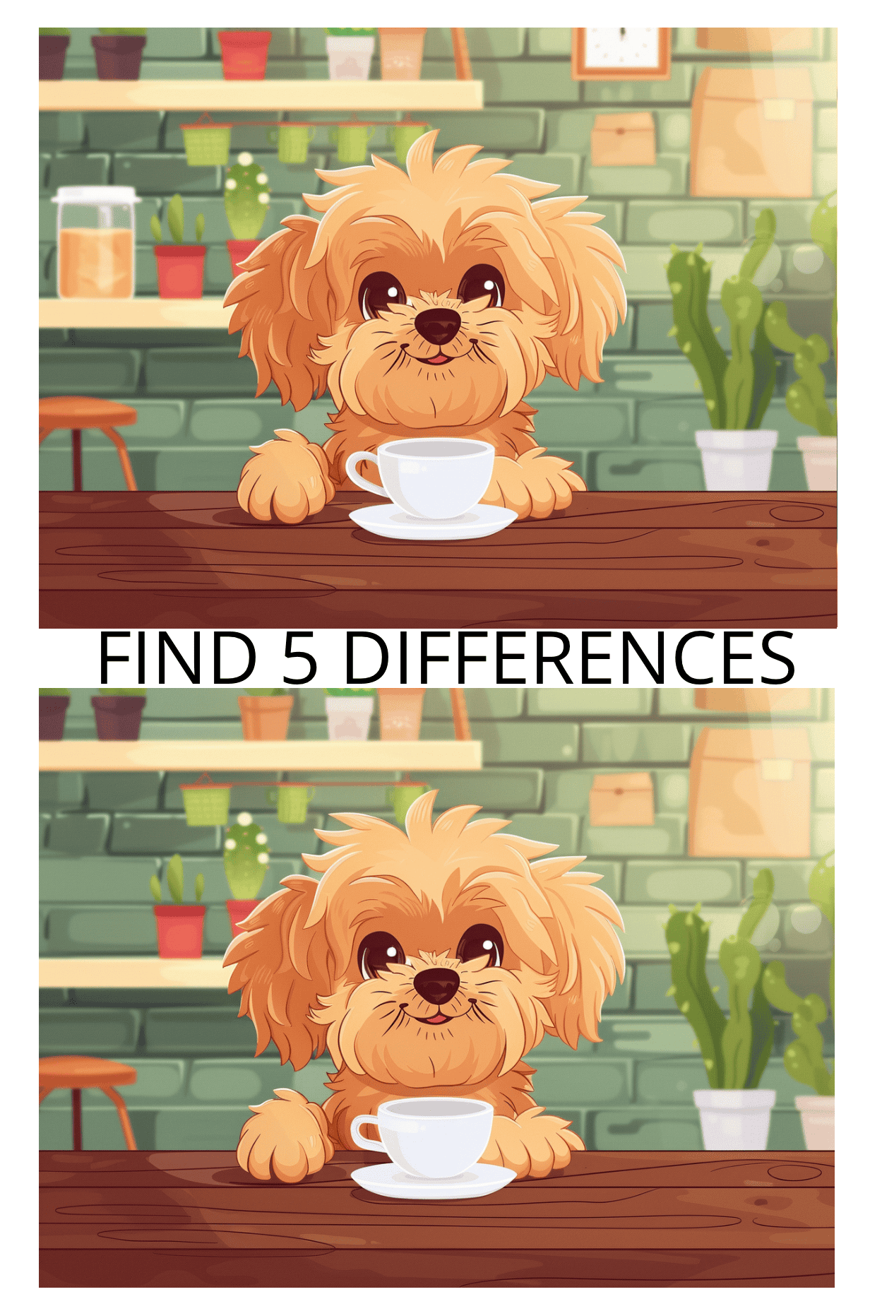Spot the Difference