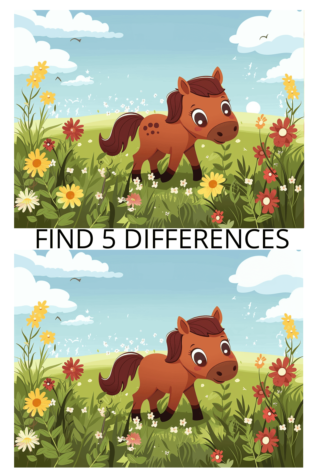 Spot the Difference