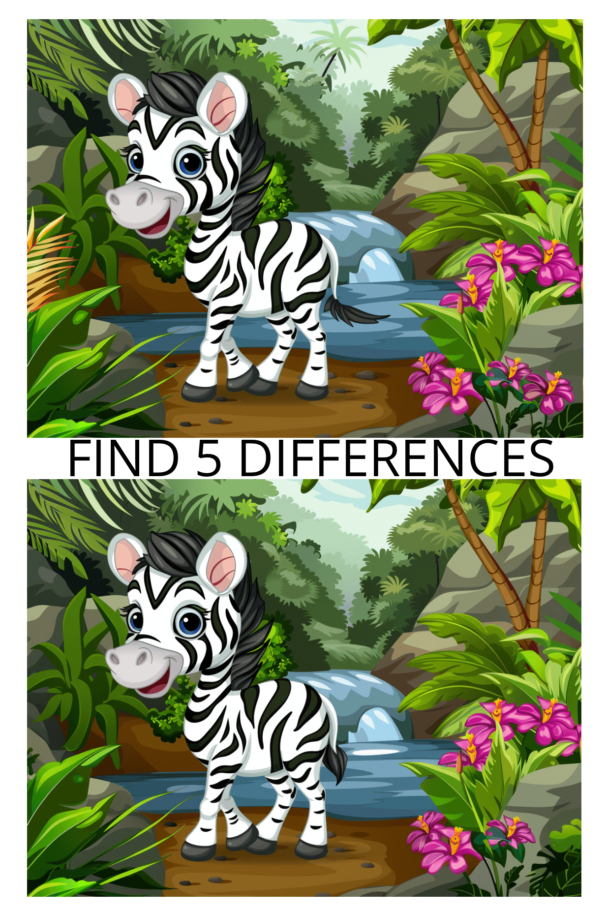 Spot the Difference
