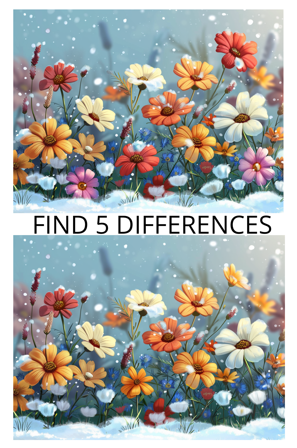 Spot the Difference