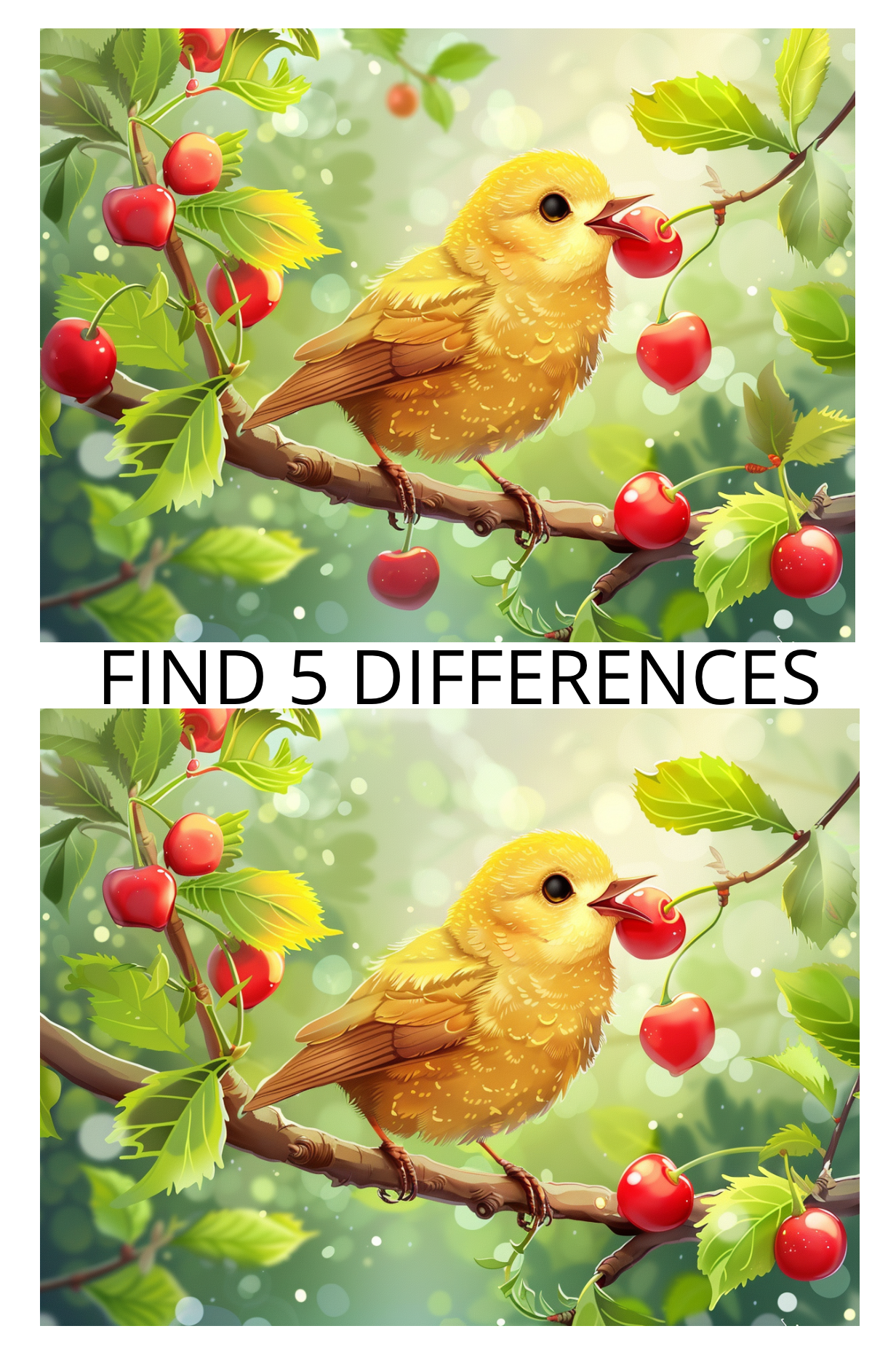 Spot the Difference