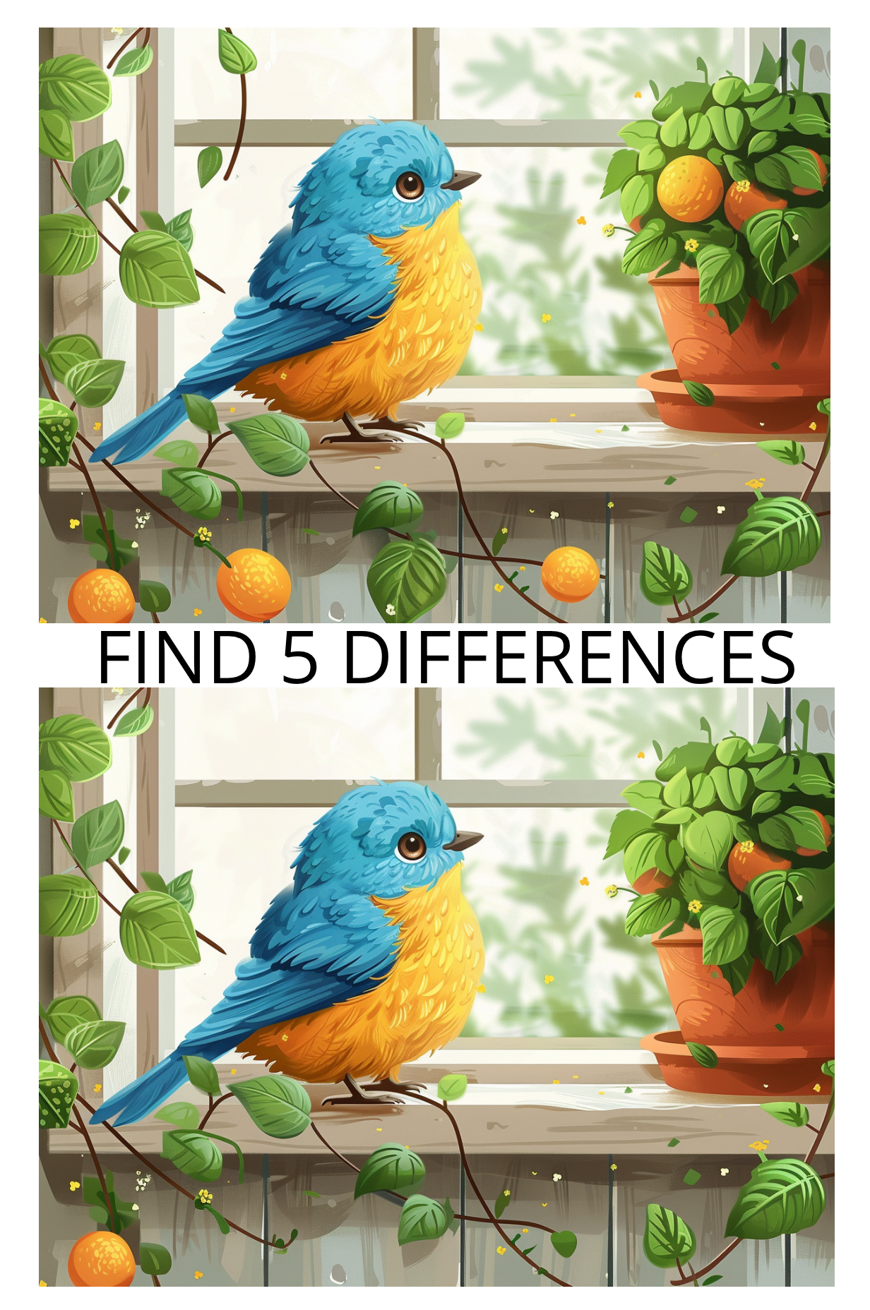 Spot the Difference