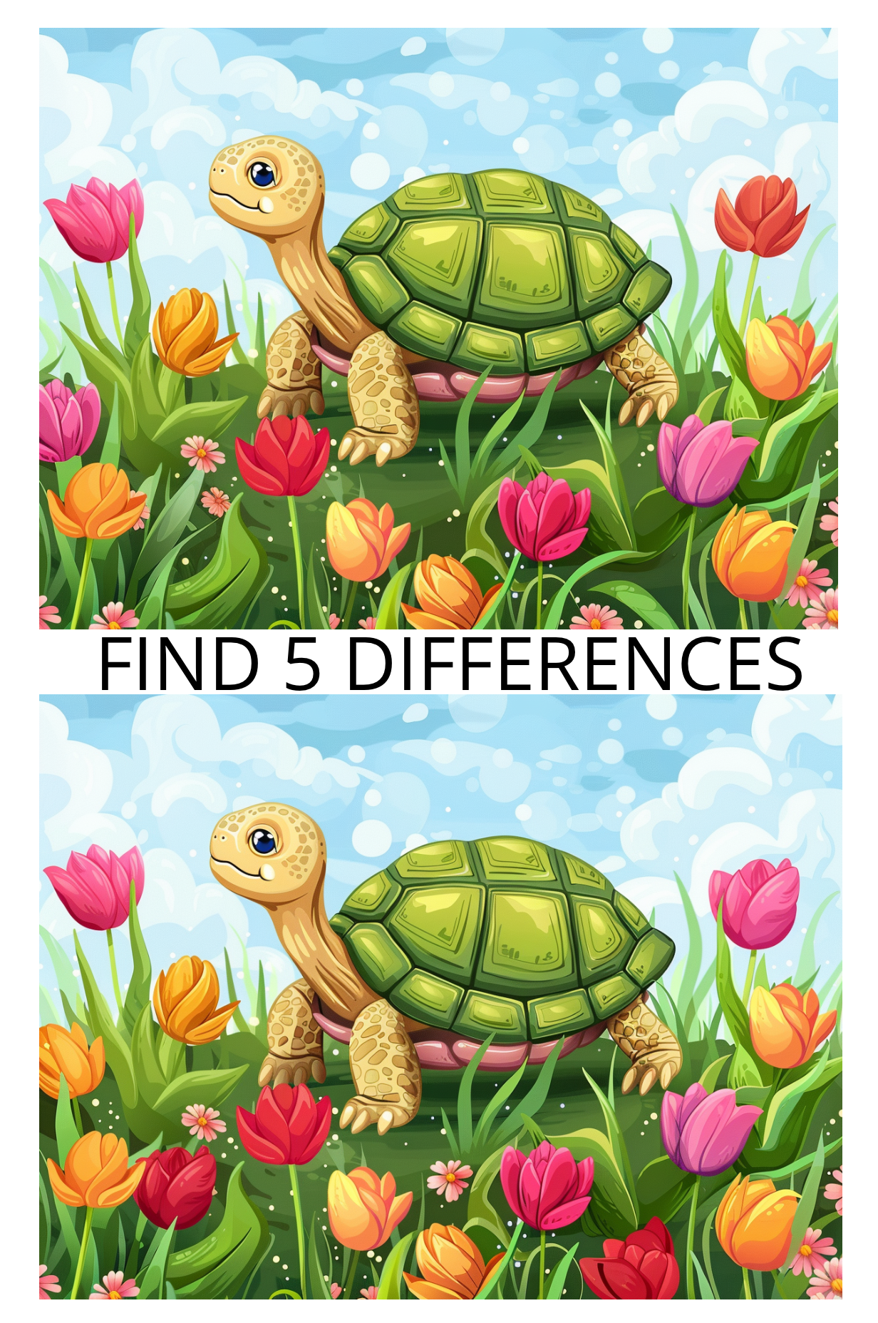 Spot the Difference