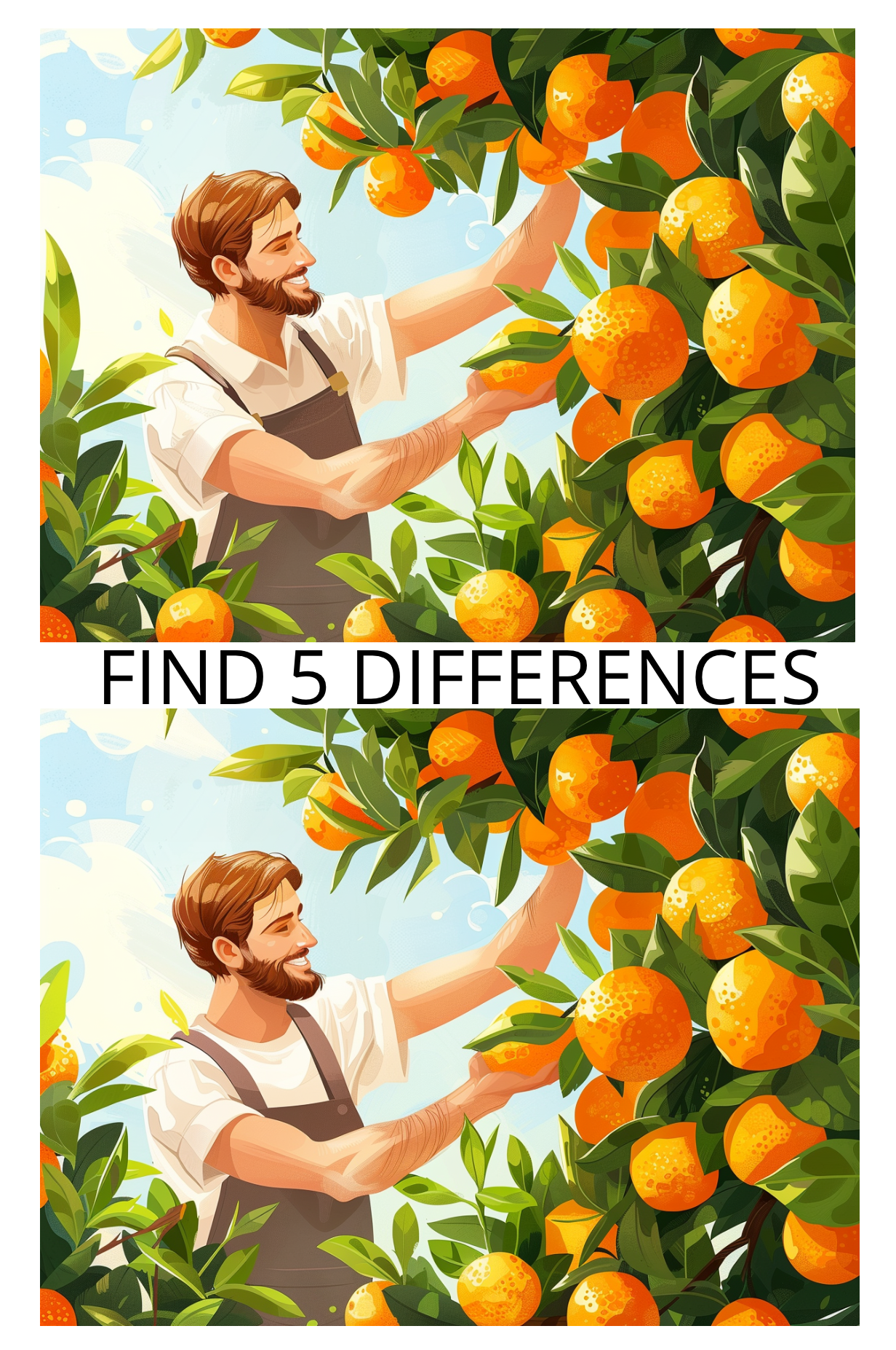 Spot the Difference