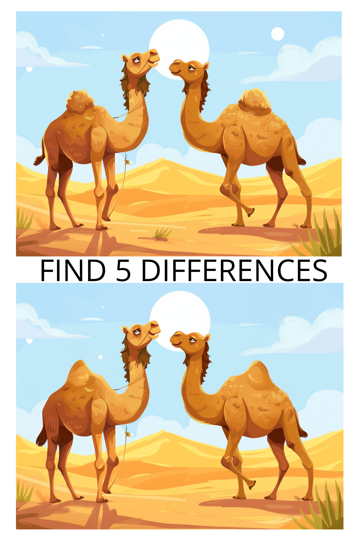 Spot the Difference